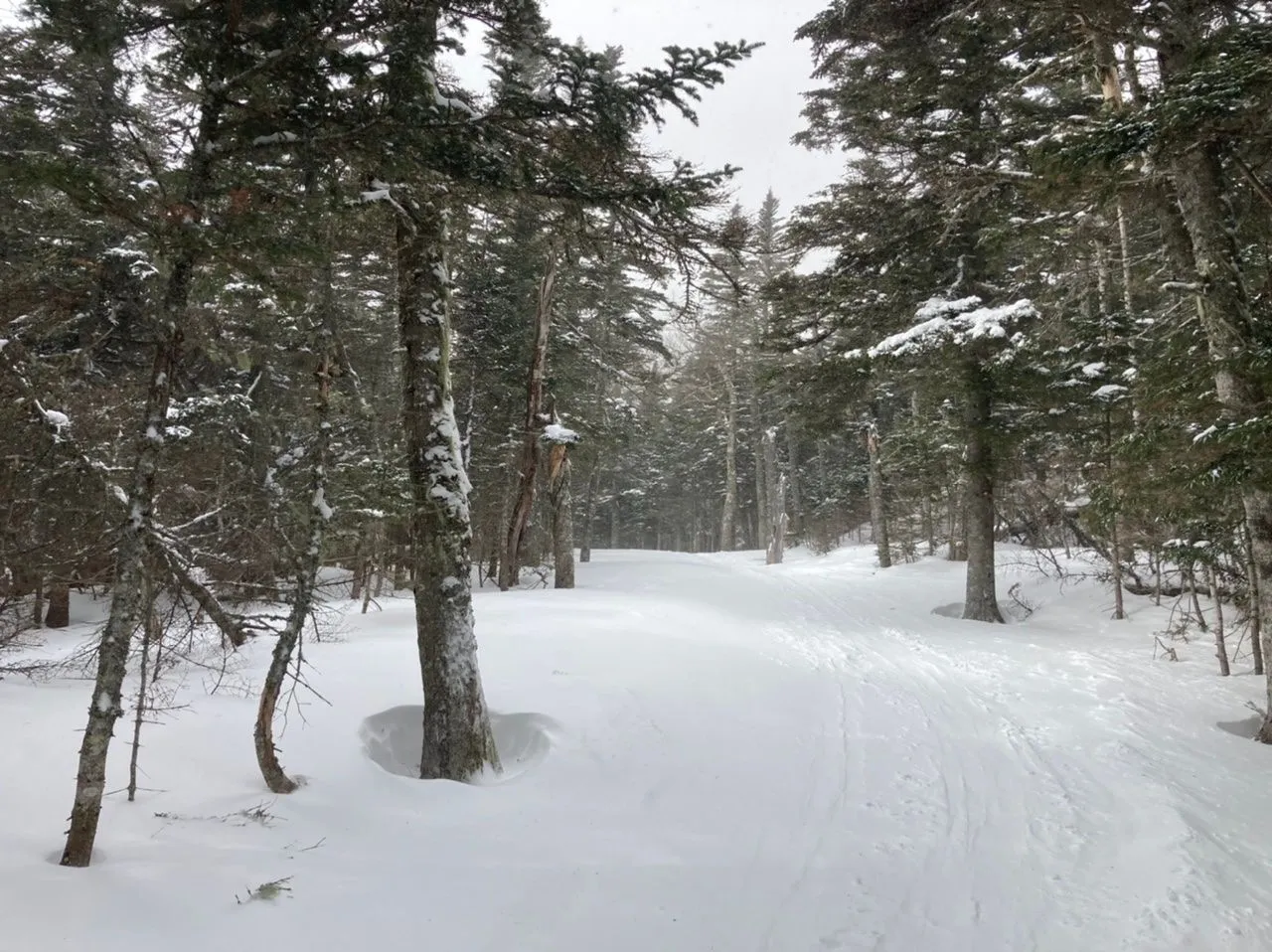 Gulf of Slides trail
