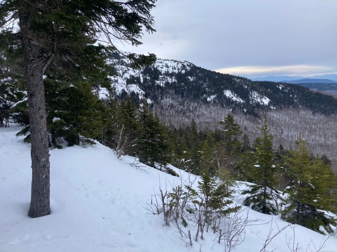 Some untouched runs