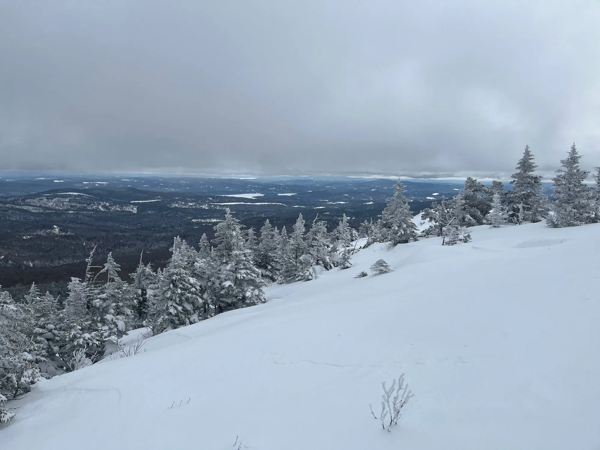 Upper snowfields at Firescrew Mountain