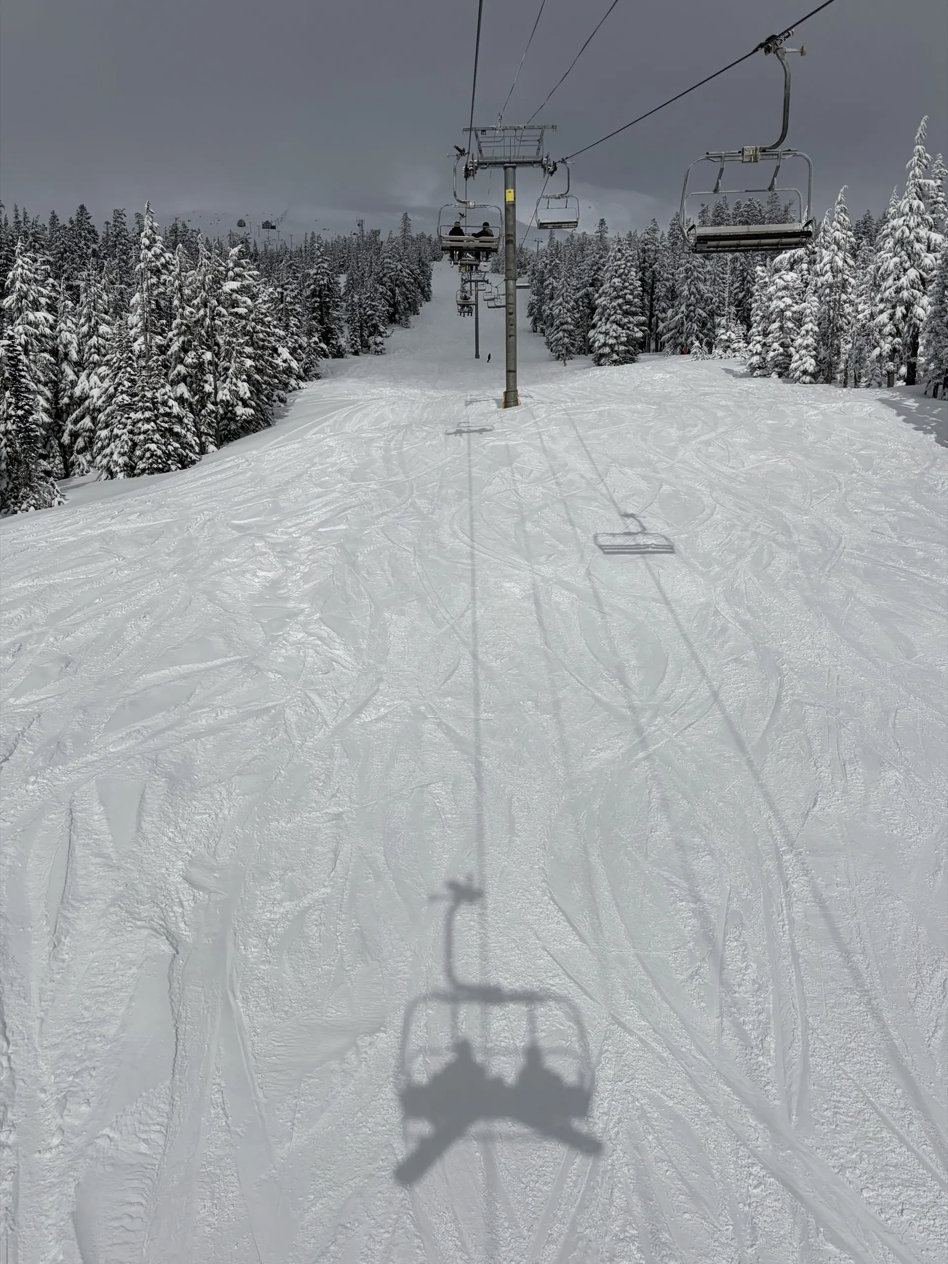 Timberline lift shadows