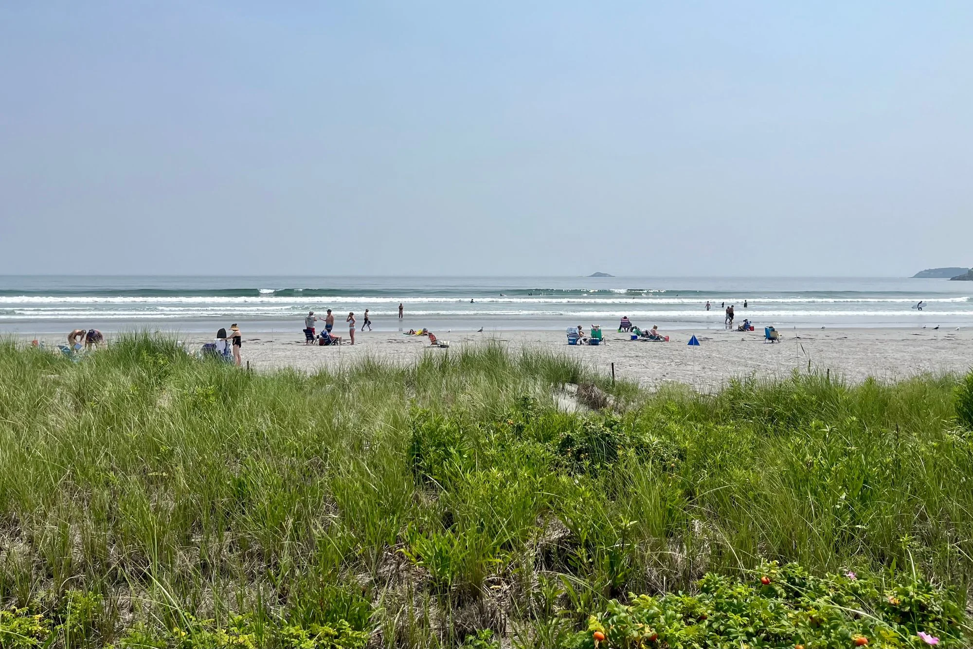 Surf Summer Start