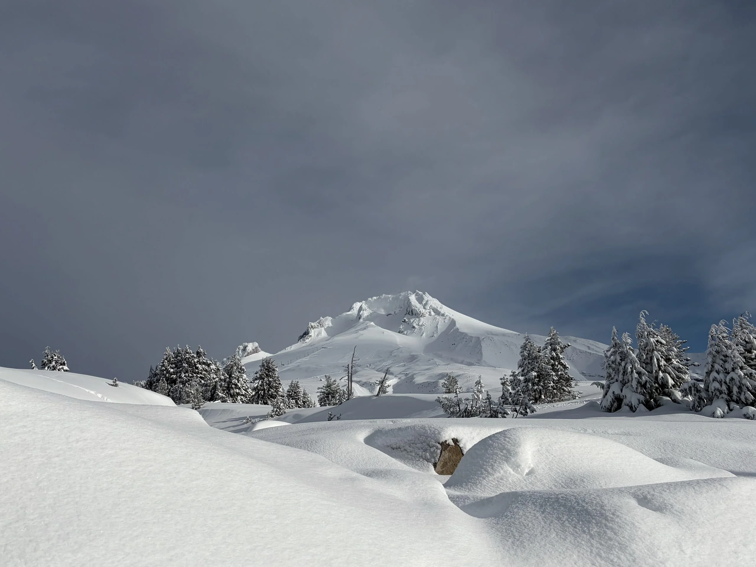 Winter Recap