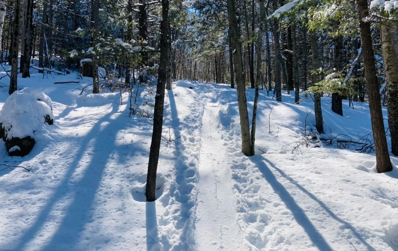New Glades