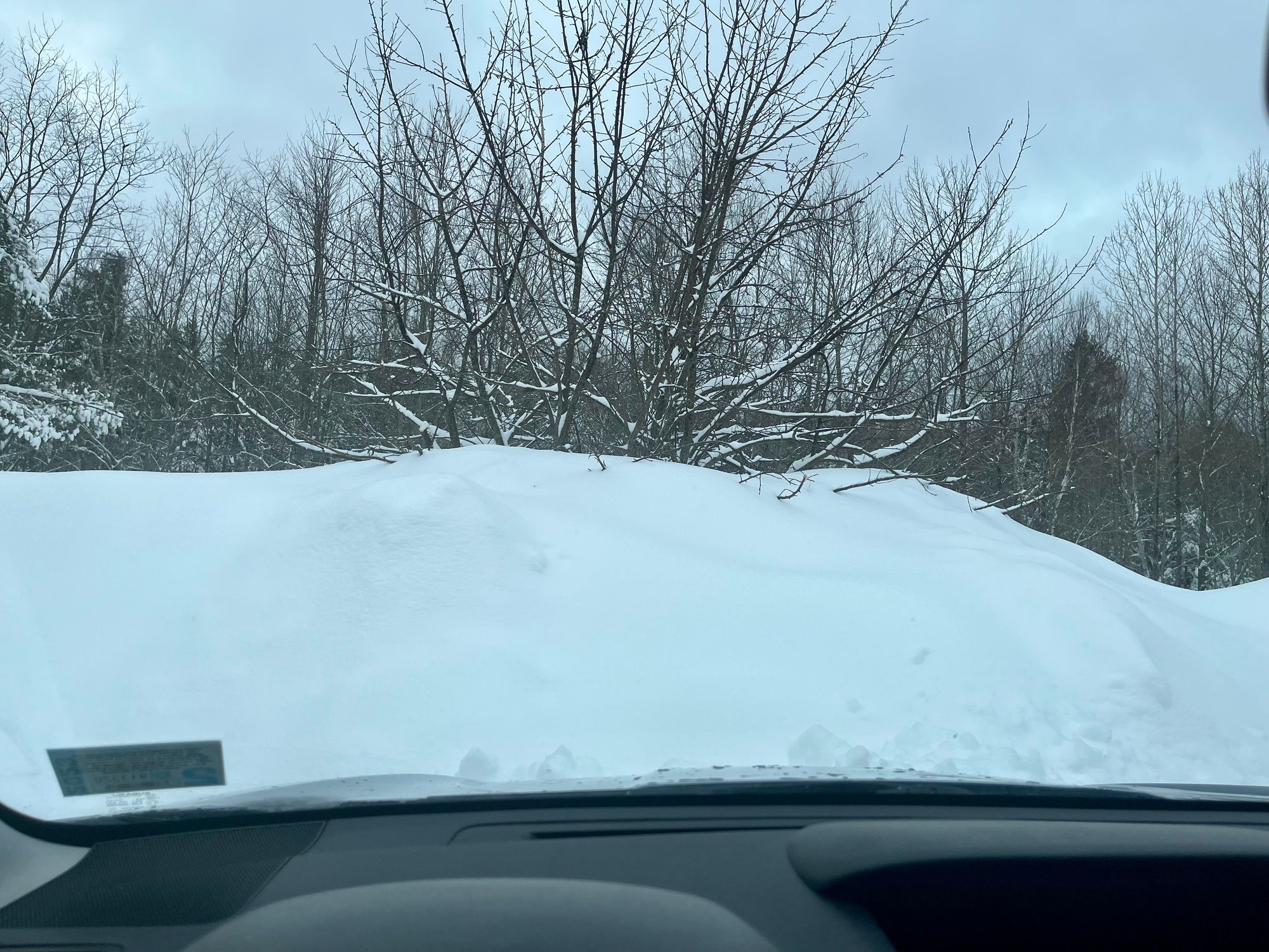 Mountains of snow in the Mt Cardigan parking lot