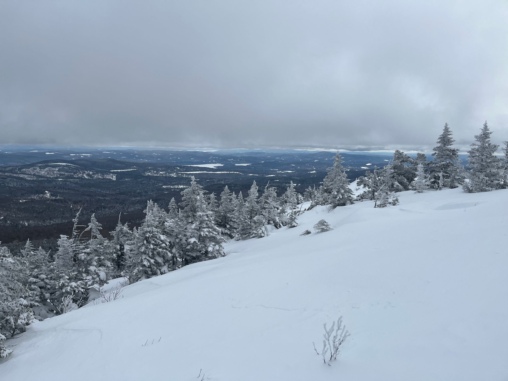 Upper snowfields at Firescrew Mountain