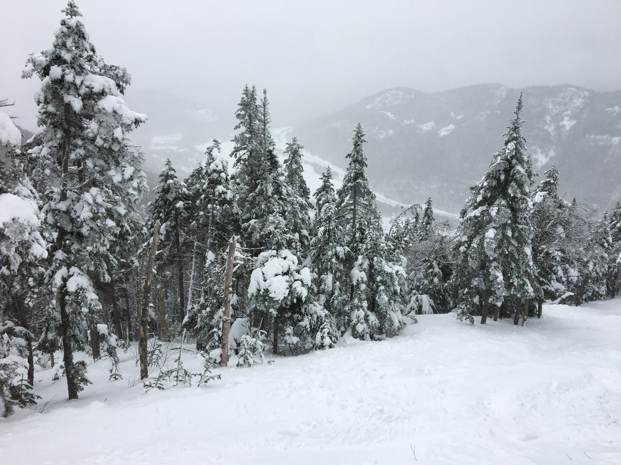 Powder day at Cannon