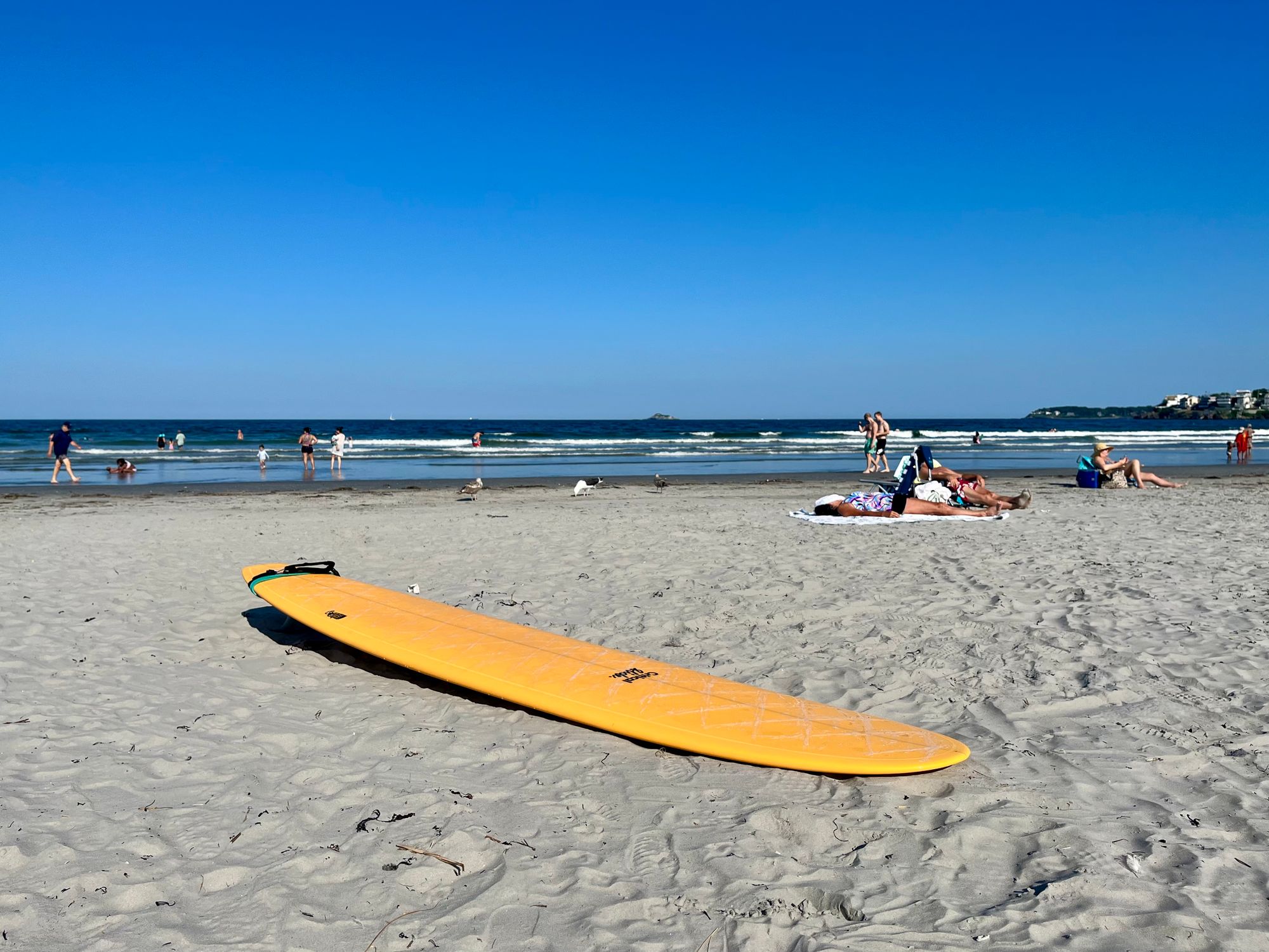 Critical Slide Loggerhead 9'8 Longboard