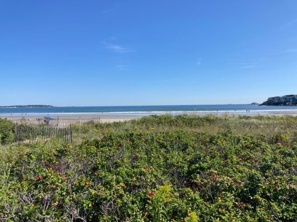 Nahant Beach during hurricane Larry‘s swell