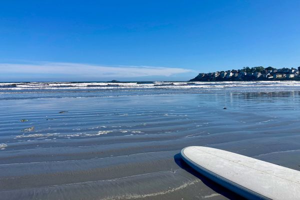 Surfing at Nahant Beach