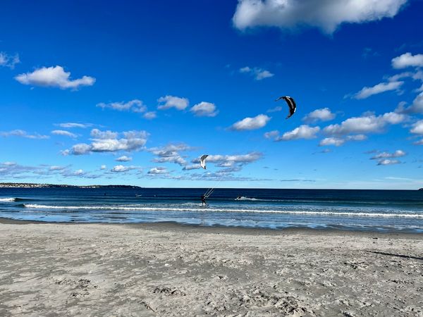 Nahant Beach in November