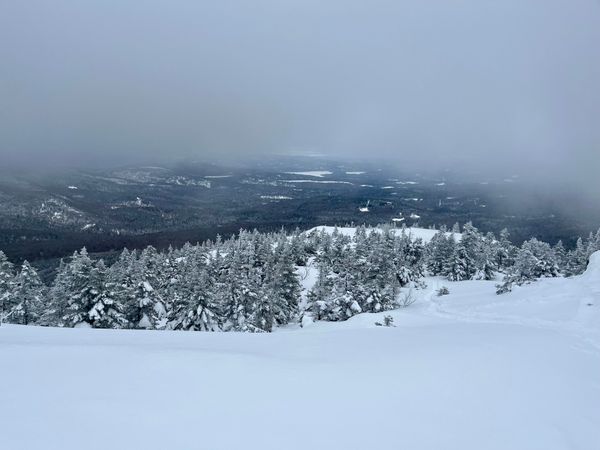 Upper snow fields at Firescrew Mountain