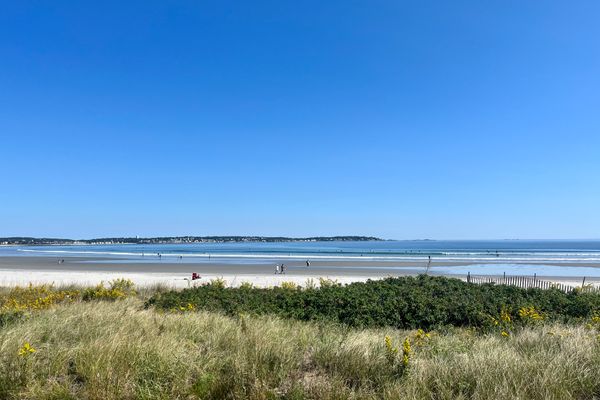 Nahant Beach